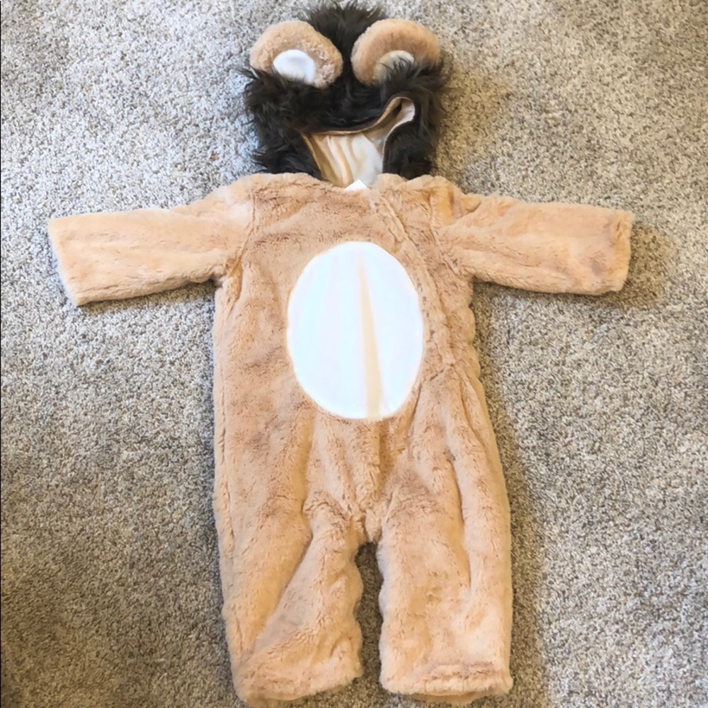 Lion costume pottery barn